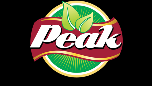 noahs business card for peak logo